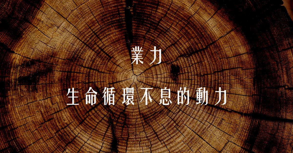 业力