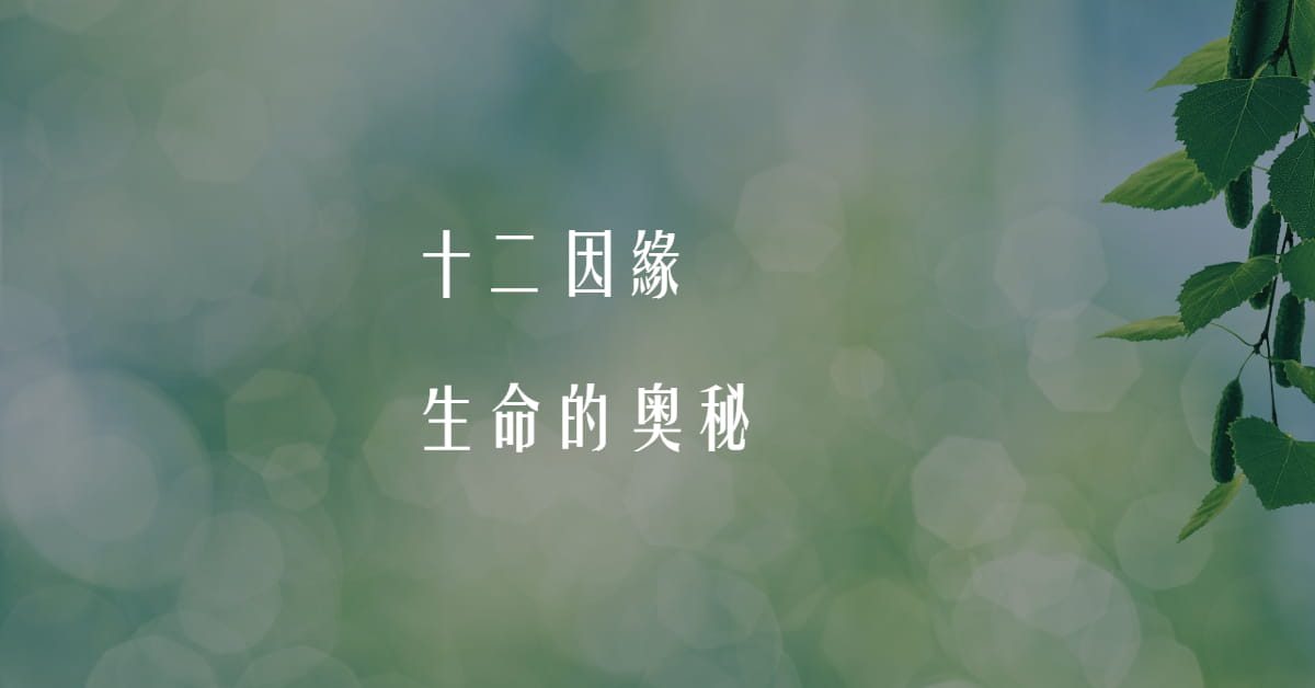 十二因缘